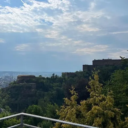 Am Eichhof * Koblenz (Rhineland-Palatinate)